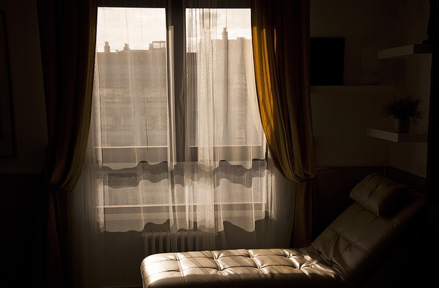 comfortable living room with insulated windows and gentle winter sunlight